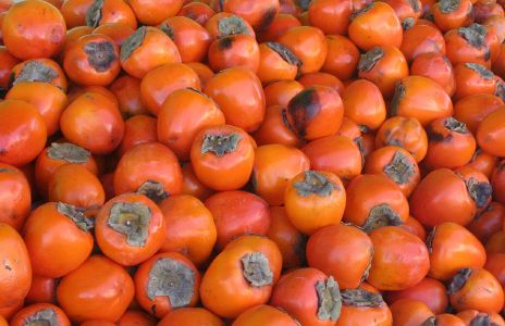 Persimmons
