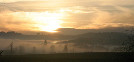 Foggy Sunset