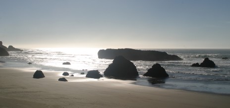 Oregon Coast Rocks