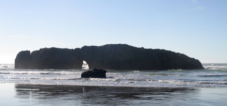 Oregon Coast Rocks