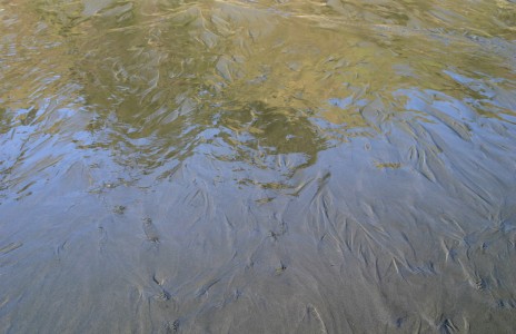 Beach Sand and Water