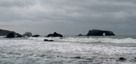 Rocky Pacific Coast at Goat Rock, Sonoma Co.