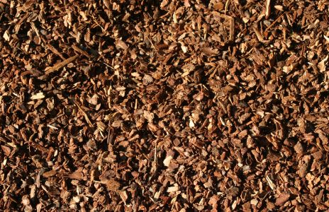 Bark Chips
