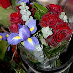 Bunch of Pretty Flowers