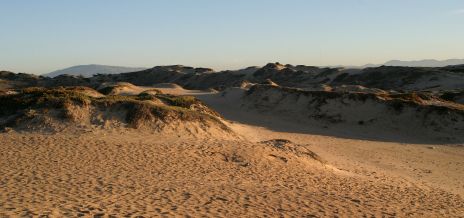 Sand Dunes