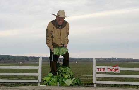 Large Farm Figure with Big Balls