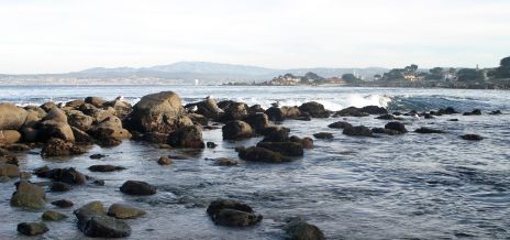 Monterey Bay