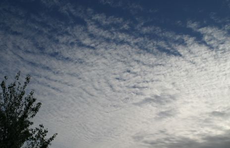Cirrus Clouds