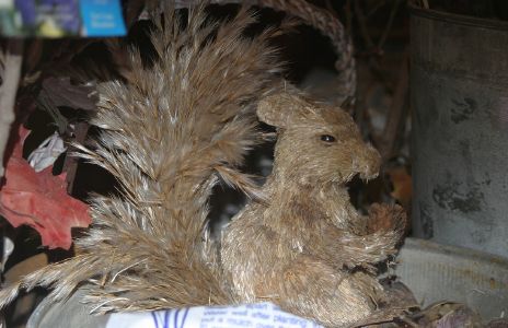 Squirrel made of wheat?