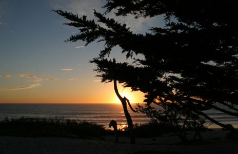 Monterey Sunset and Cypress Trees