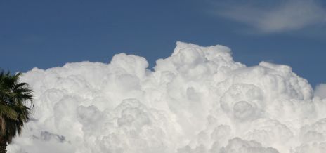 Cumulus Clouds