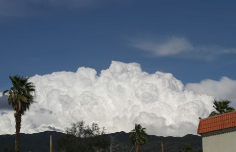 Cumulus Clouds