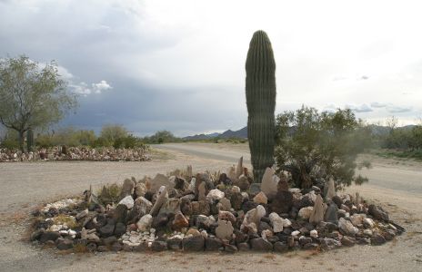 Cactus and Rock Garden