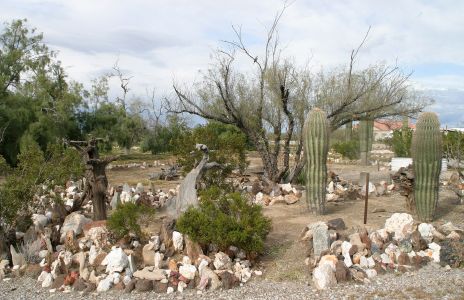 Cactus and Rock Garden