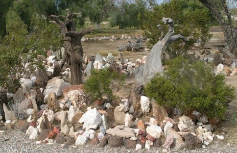 Cactus and Rock Garden