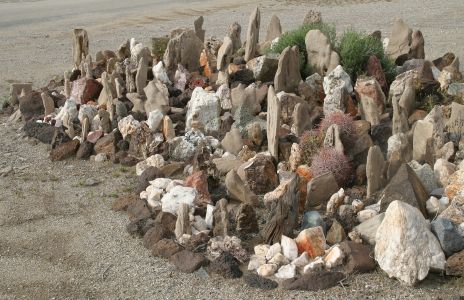 Cactus and Rock Garden