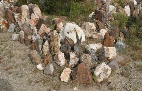 Cactus and Rock Garden
