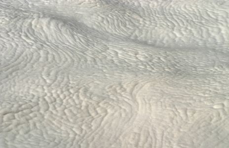 Foam at Devils Churn near Cape Perpetua