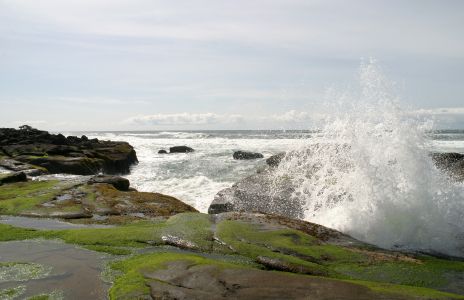 Waves Crashing on Rocks, OR 