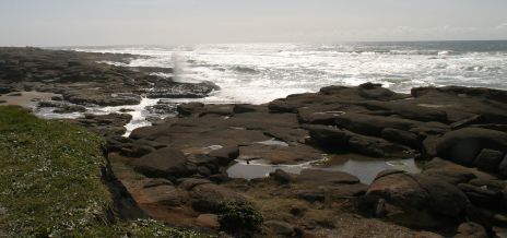 Rocky Oregon Coast