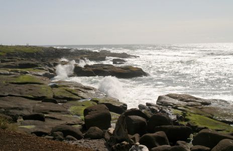 Rocky Oregon Coast