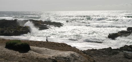 Waves Crashing on Rocks, OR 