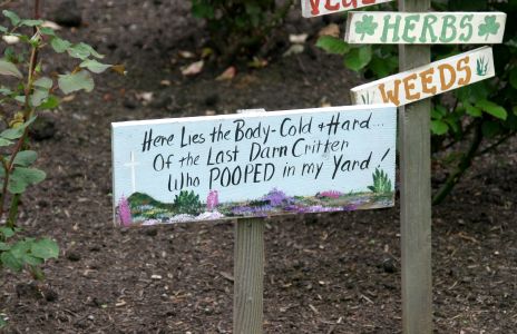 Sign in Garden