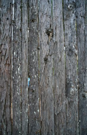 Wood Fence made of Bark