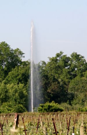 Geyser near Vineyard