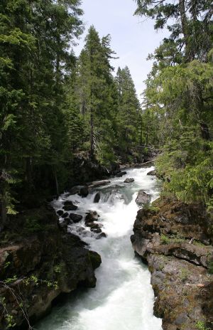 Rogue River Gorge