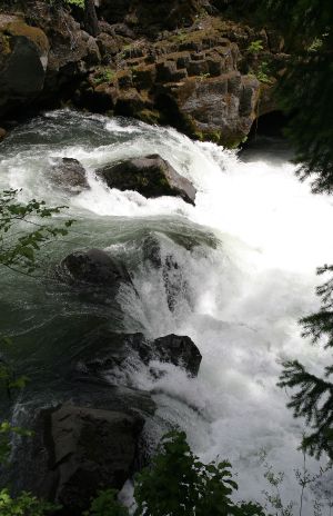 Rogue River