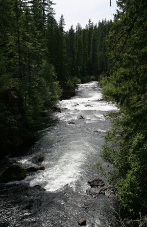Rogue River