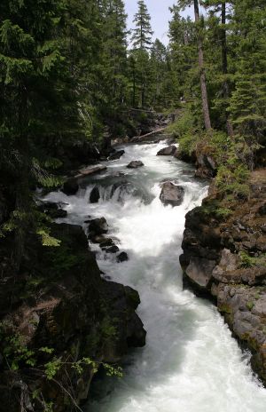 Rogue River Gorge