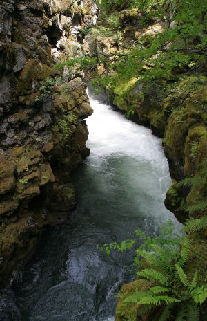 Rogue River Gorge