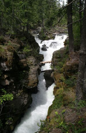 Rogue River Gorge