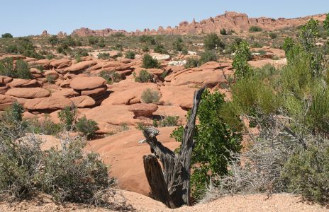 Arches National Park, Utah