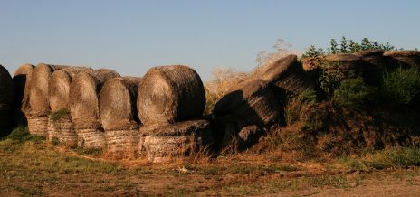 Old Round Bales of Hay