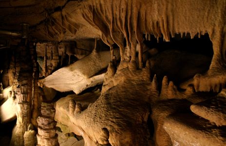 Mammoth Cave National Park