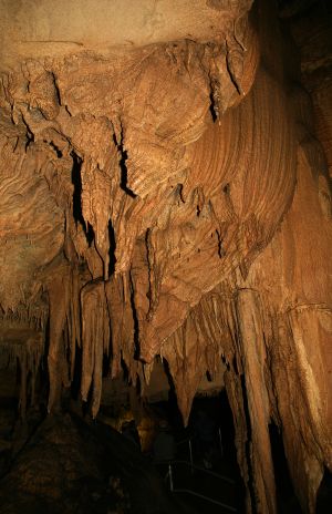Mammoth Cave National Park