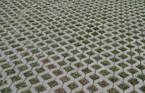 Grass and Cement Brick Driveway