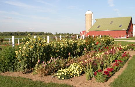 Amish Farm and Garden