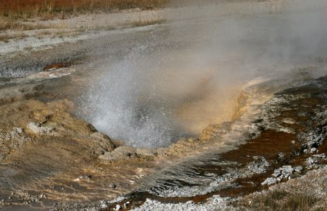 Geyser, Yellowstone National Park