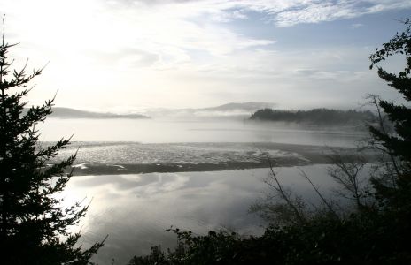 Foggy Alsea Bay at Low Tide, Waldport, OR