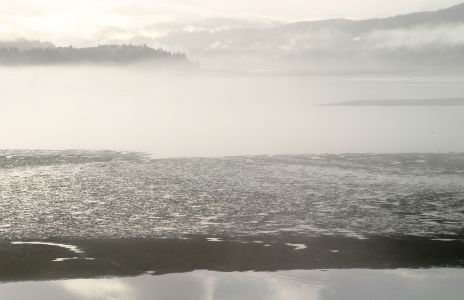 Foggy Alsea Bay at Low Tide, Waldport, OR