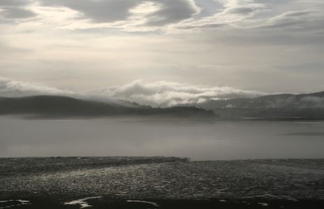 Foggy Alsea Bay at Low Tide, Waldport, OR
