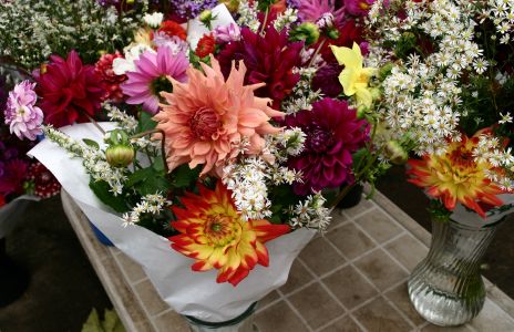 Flowers at Market in Eugene, OR
