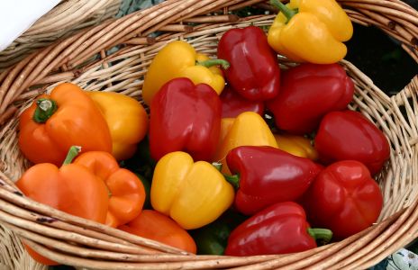 Colorful Bell Peppers at Market in Eugene, OR