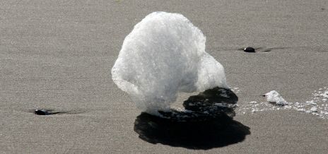 Sea Foam on the Beach