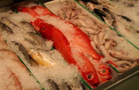 Seafood in a Market
