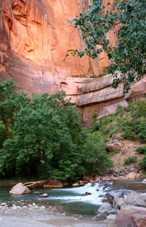 Virgin River, Zion National Park, UT